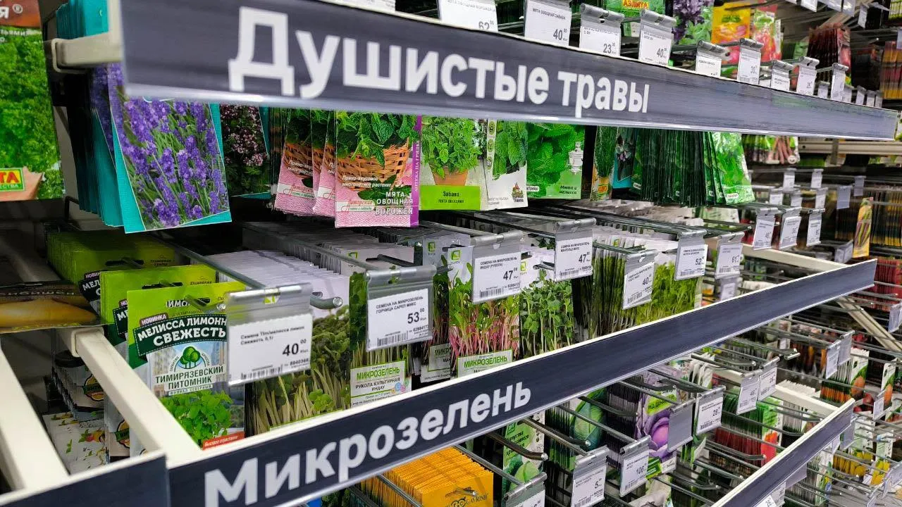 REGIONS/Роман Малышенко