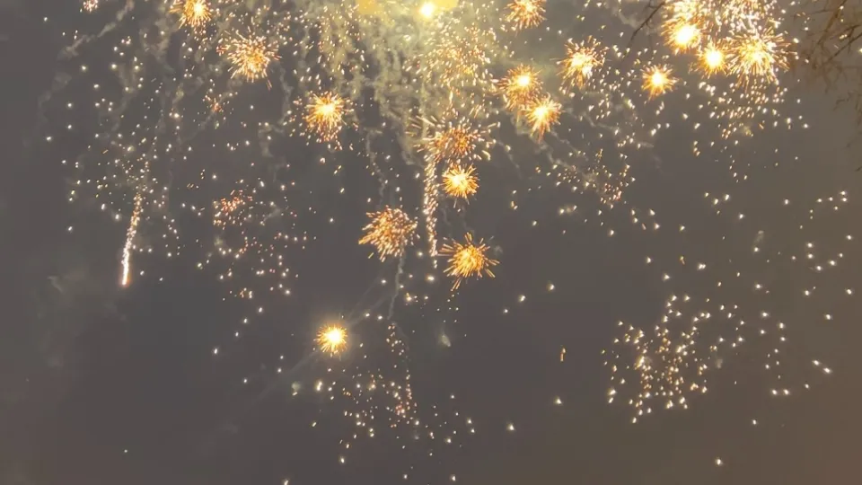 Фото: МедиаБанк Подмосковья/Валерия Ерофеева