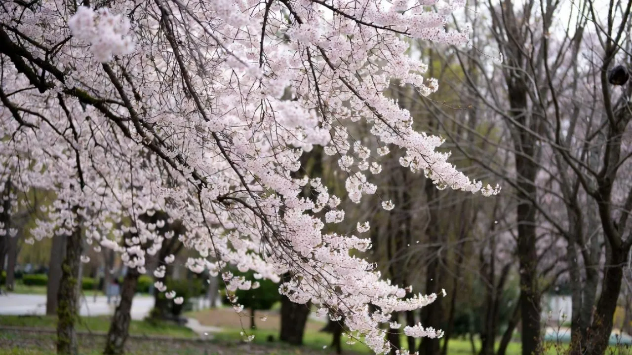 «Подмосковье сегодня»/Сгенерировано нейросетью