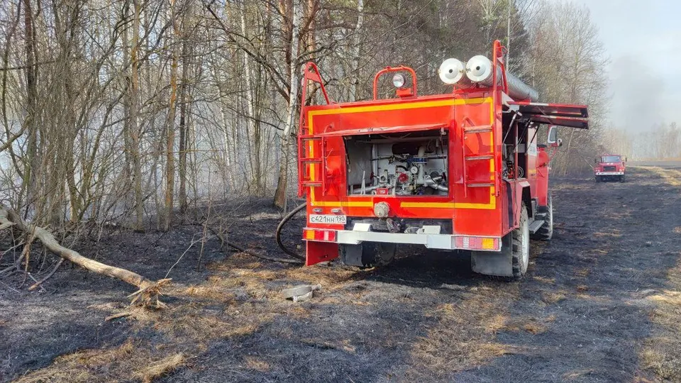Фото: Комлесхоз Московской области