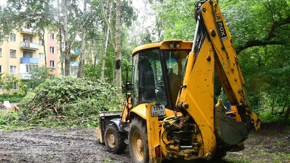 Фото: пресс-служба администрации г.о. Жуковский