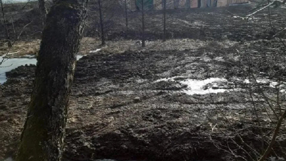 Фото: Министерство экологии и природопользования Московской области