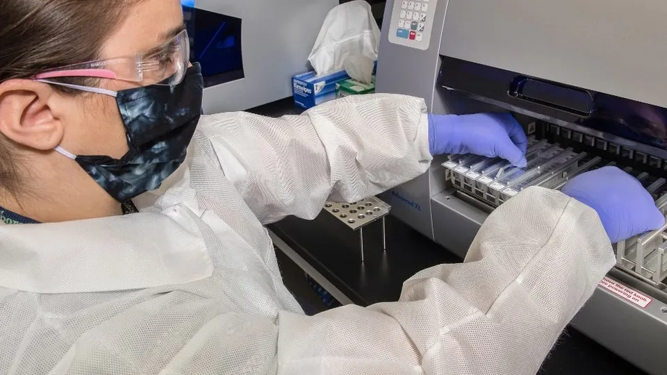 Фото: unsplash.com