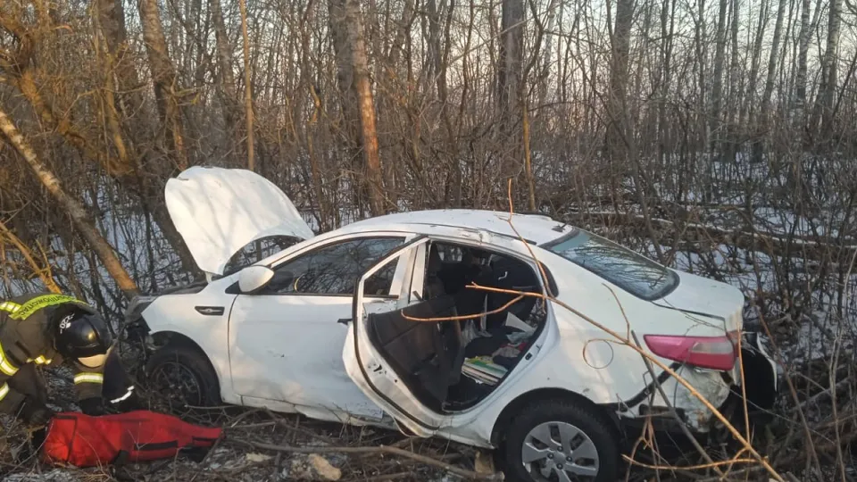 Фото: t.me/gku_mo_mosoblpojspas