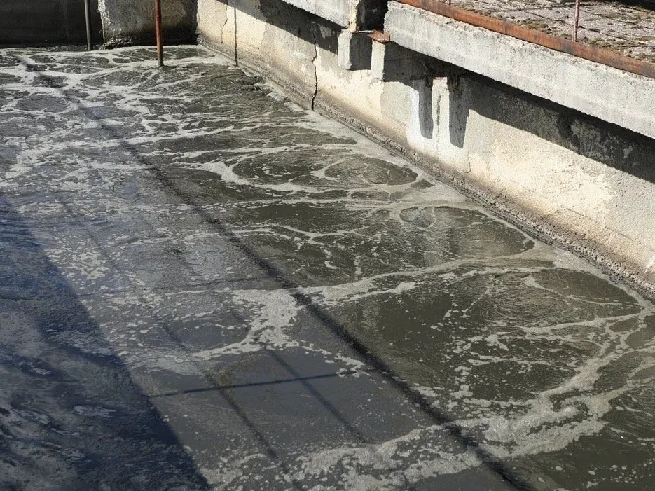 Фото: пресс-служба администрации Наро-Фоминского г.о.