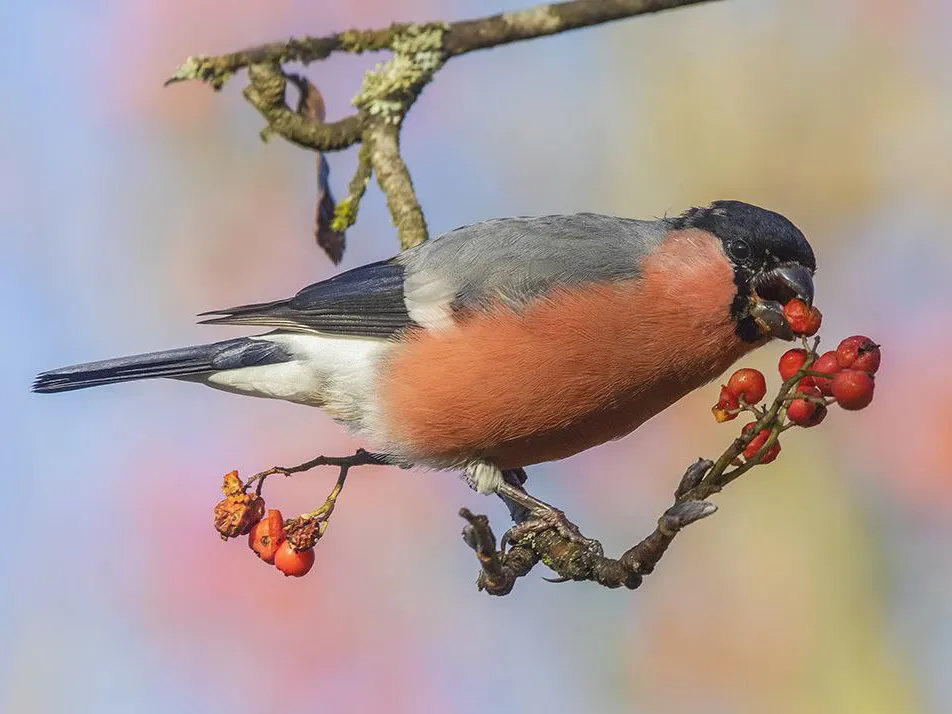 Фото: из личного архива Елены Швыдун