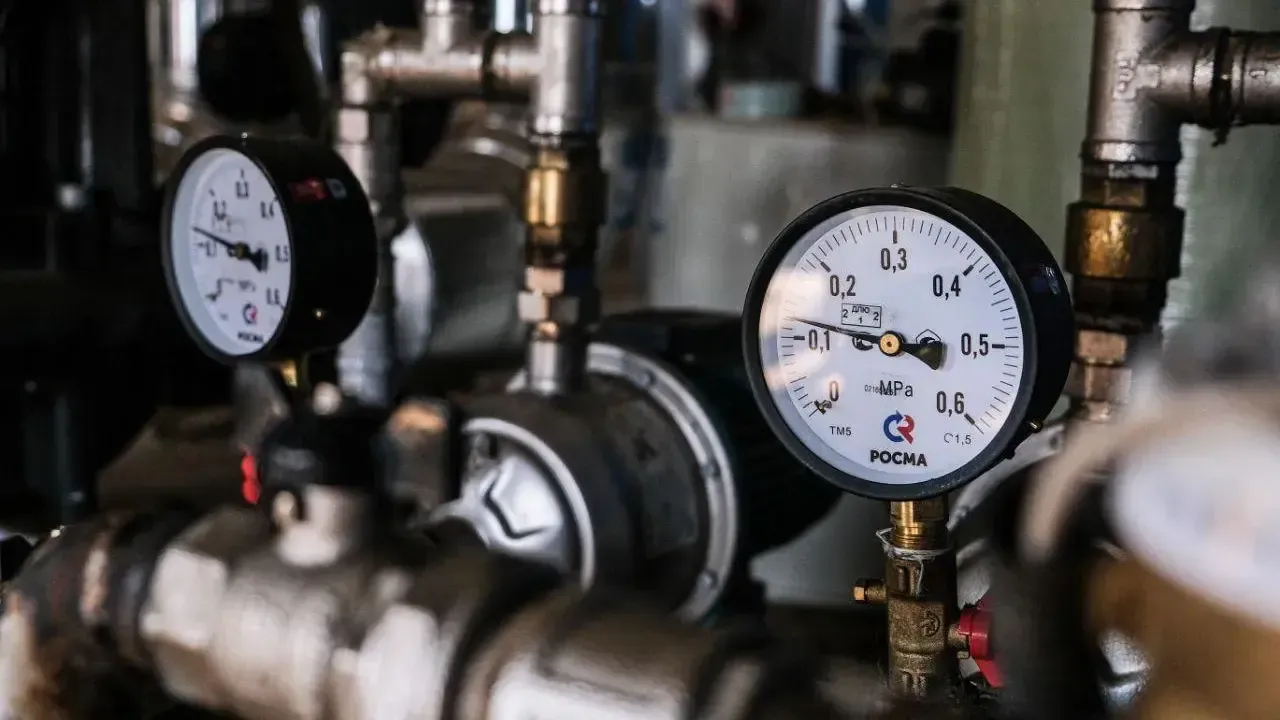 Фото: Антон Чернов