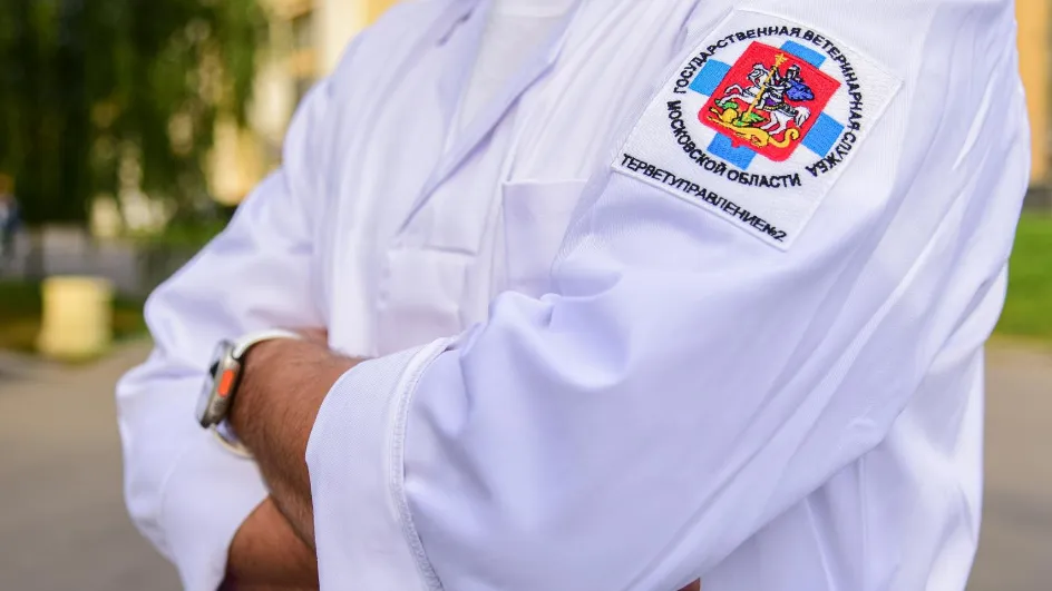 Фото: Минсельхозпрод МО