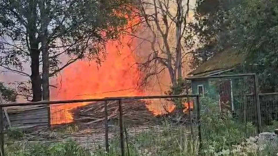 Фото: t.me/dmitrov_gorod