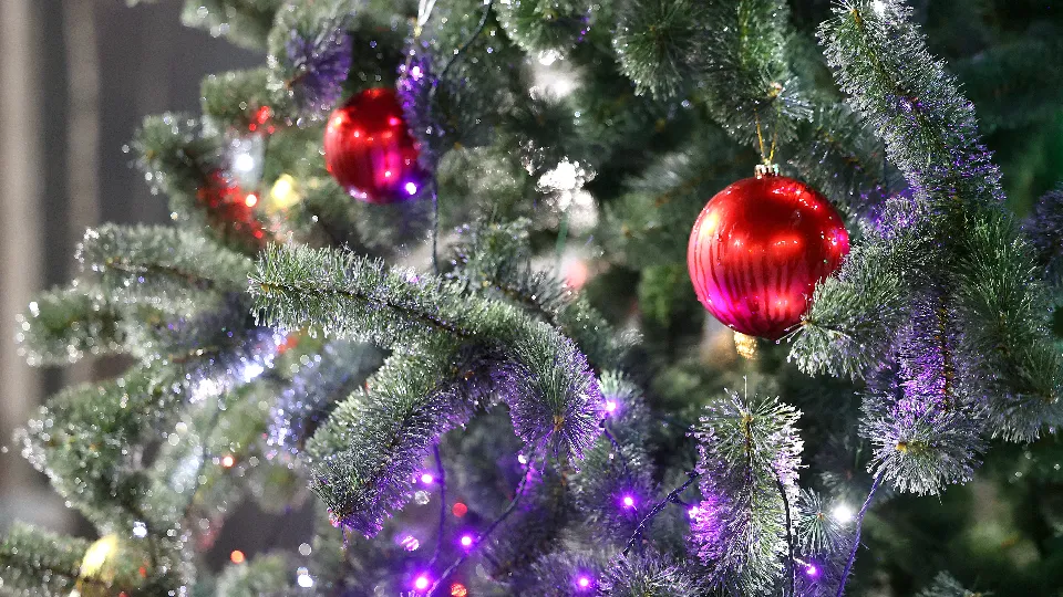 Фото: REGIONS/Ольга Пятикрестовская