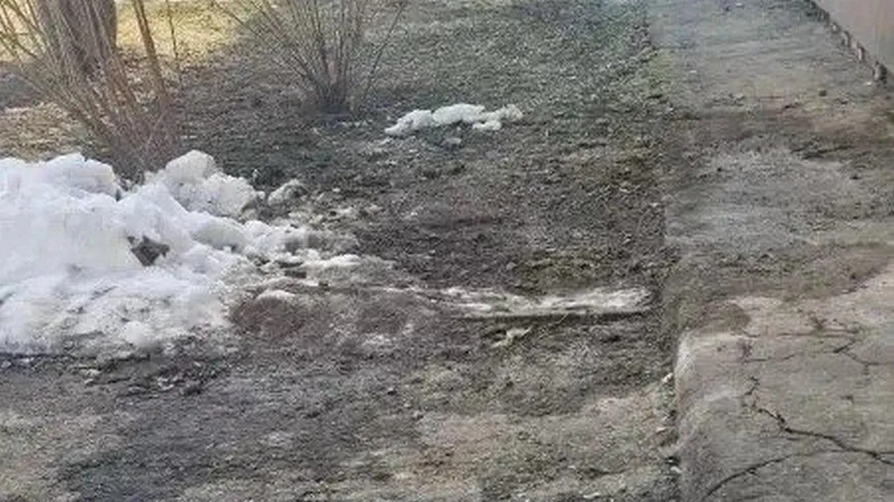 пресс-служба администрации городского округа Фрязино