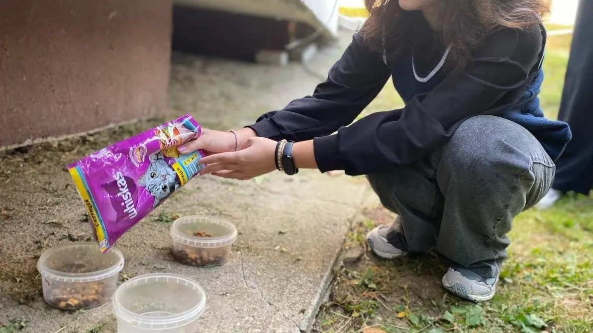 Фото: Молодежный центр Рузского г.о.