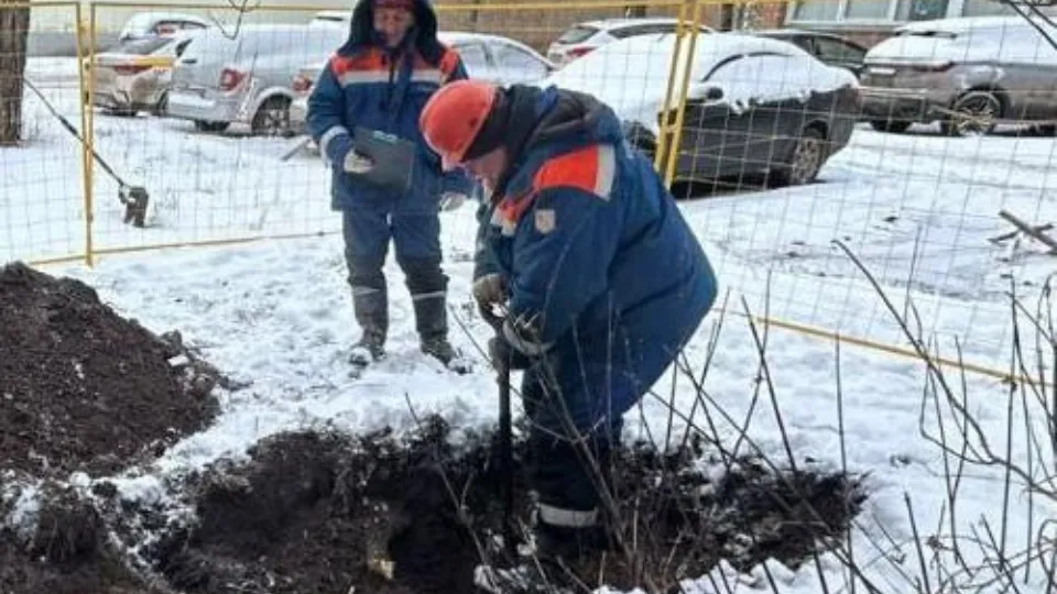 Фото: Мособлэнерго