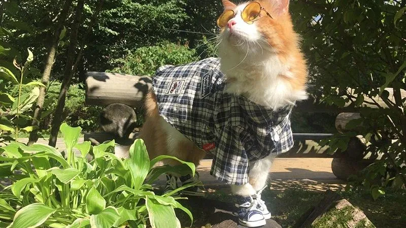 Оксана Полякова