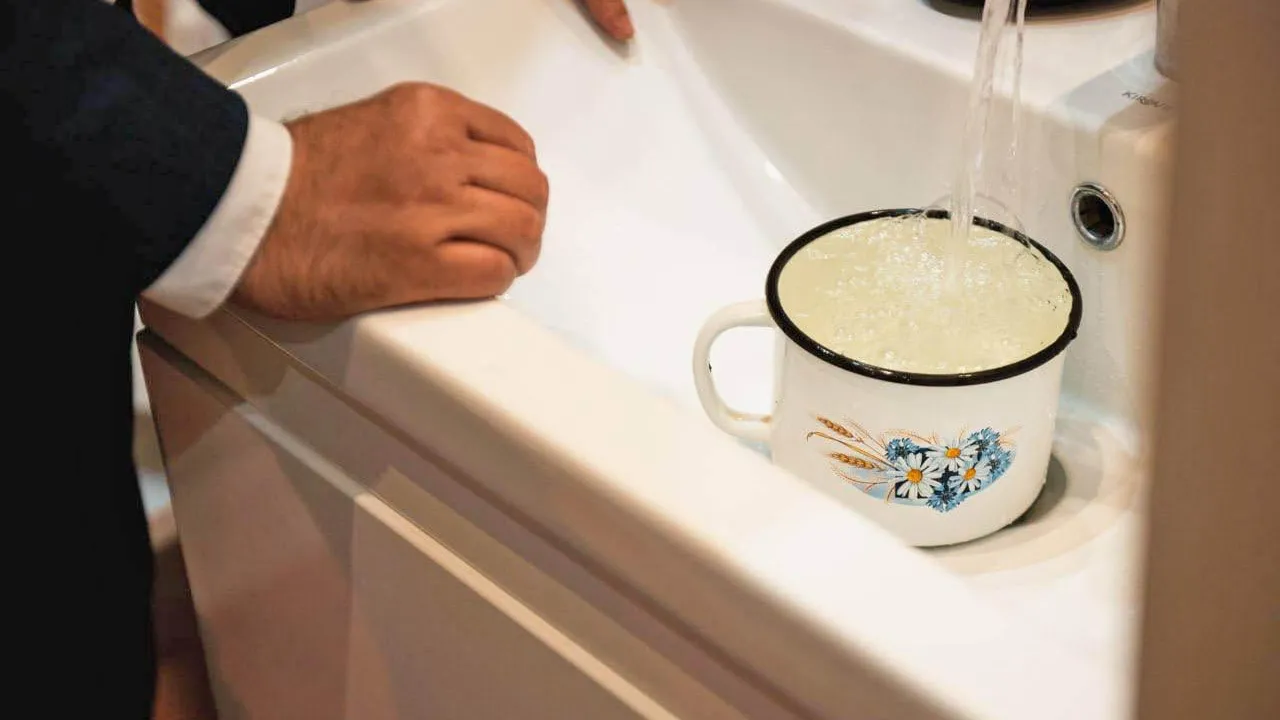 Фото: пресс-служба администрации г. о. Лосино-Петровский