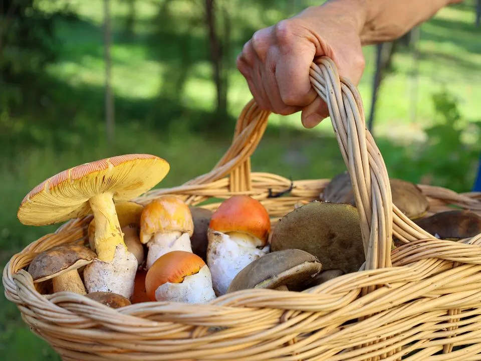 Фото: istockphoto.com