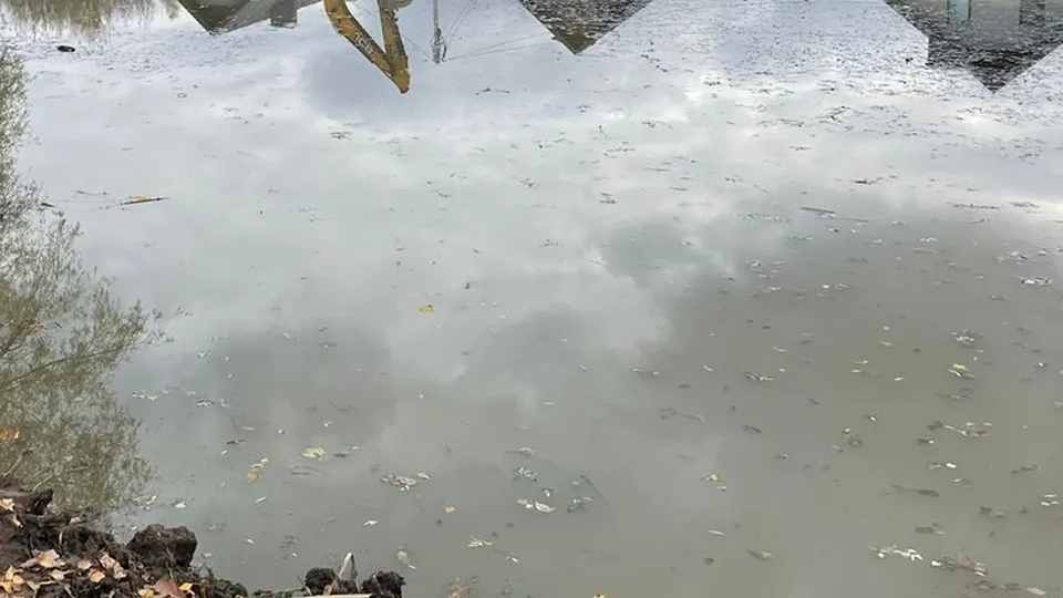 Фото: МедиаБанк Подмосковья/Валерия Исаева