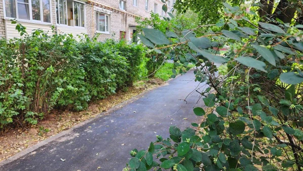 Фото: Яна Шаливская