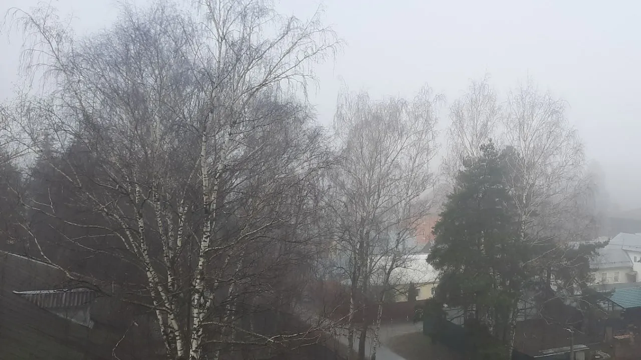 Фото: t.me/ramnovosti