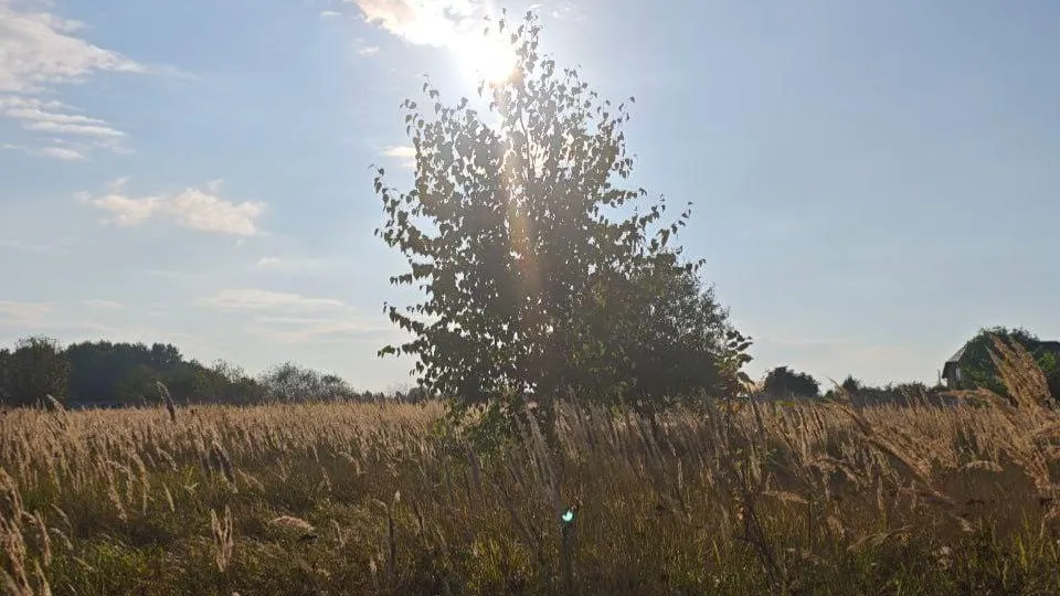 REGIONS/Ольга Никитина