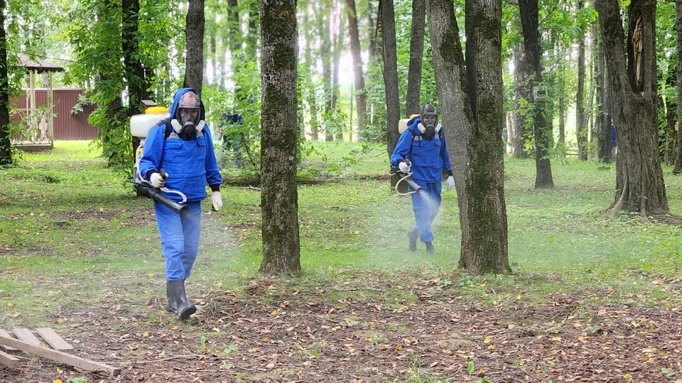 Фото: МедиаБанк Подмосковья/Дмитрий Беденко
