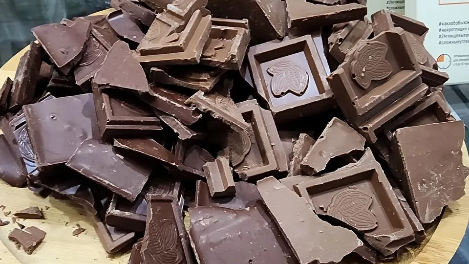 Фото: МедиаБанк Подмосковья/Артем Мишуков