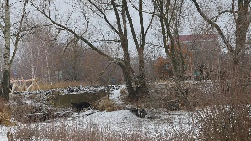 Фото: Министерство экологии и природопользования Московской области