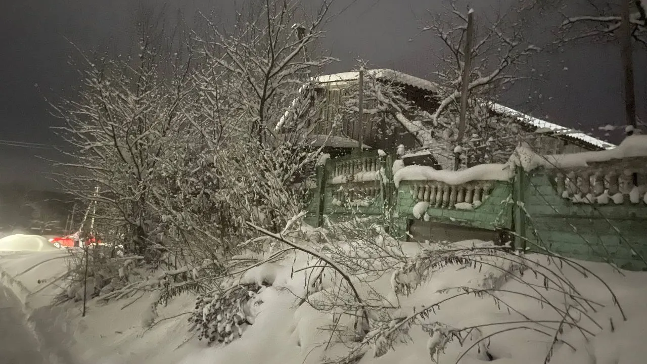 Фото: REGIONS/Юлия Арбузова