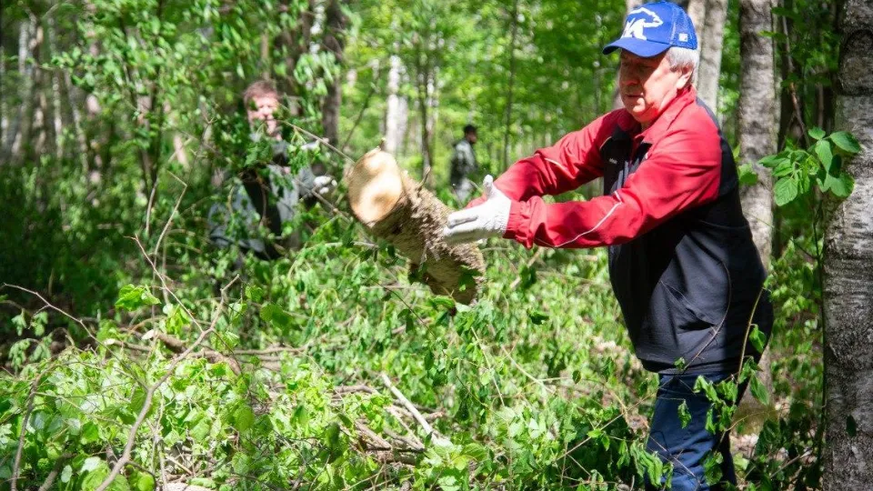 Фото: Комитет лесного хозяйства МО