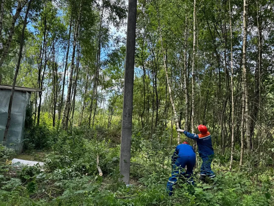 Фото: Мособлэнерго