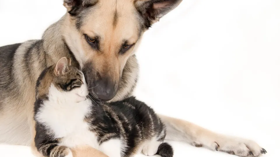 Фото: freepik.com