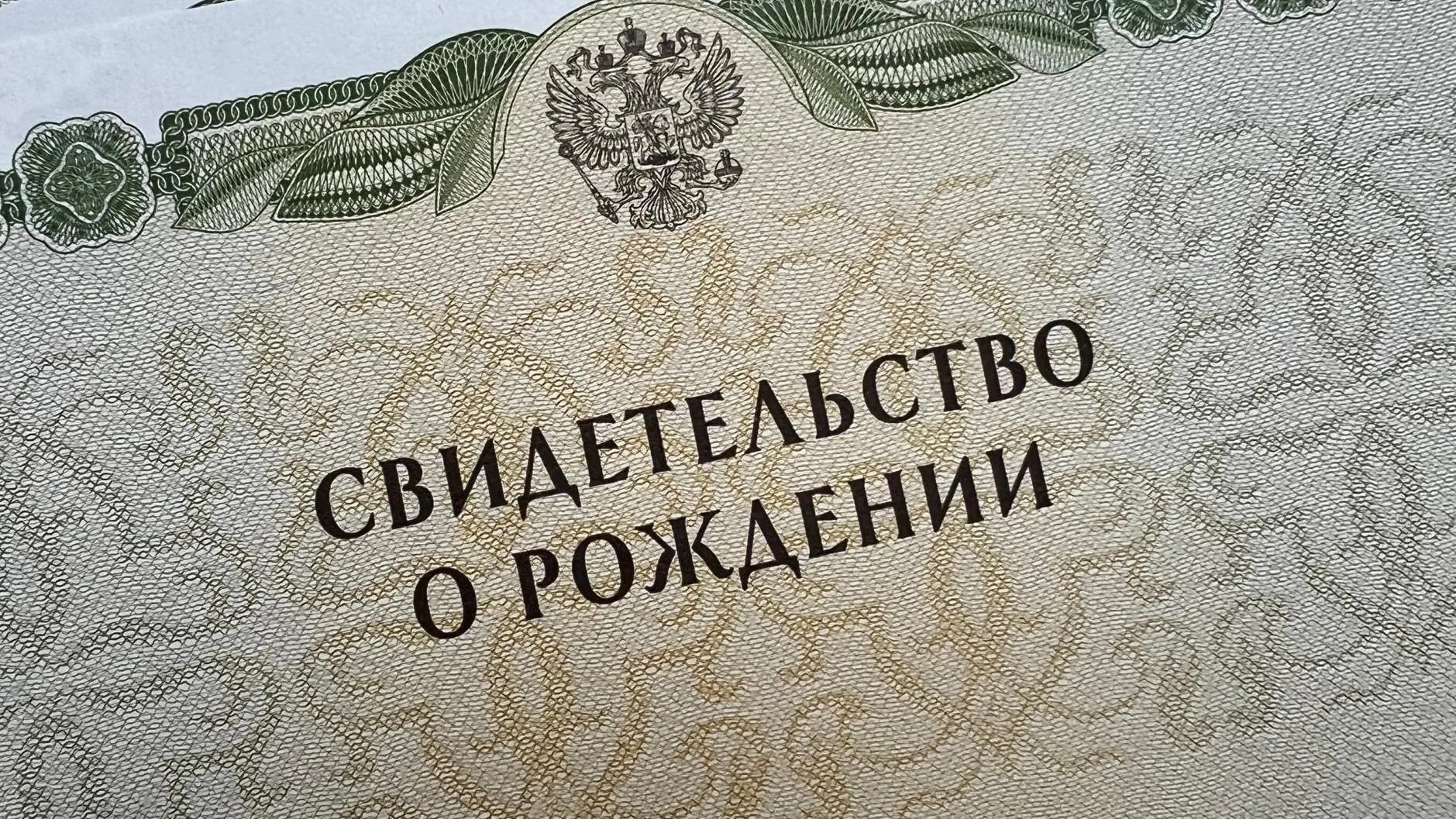 Фото: ГУ ЗАГС МО