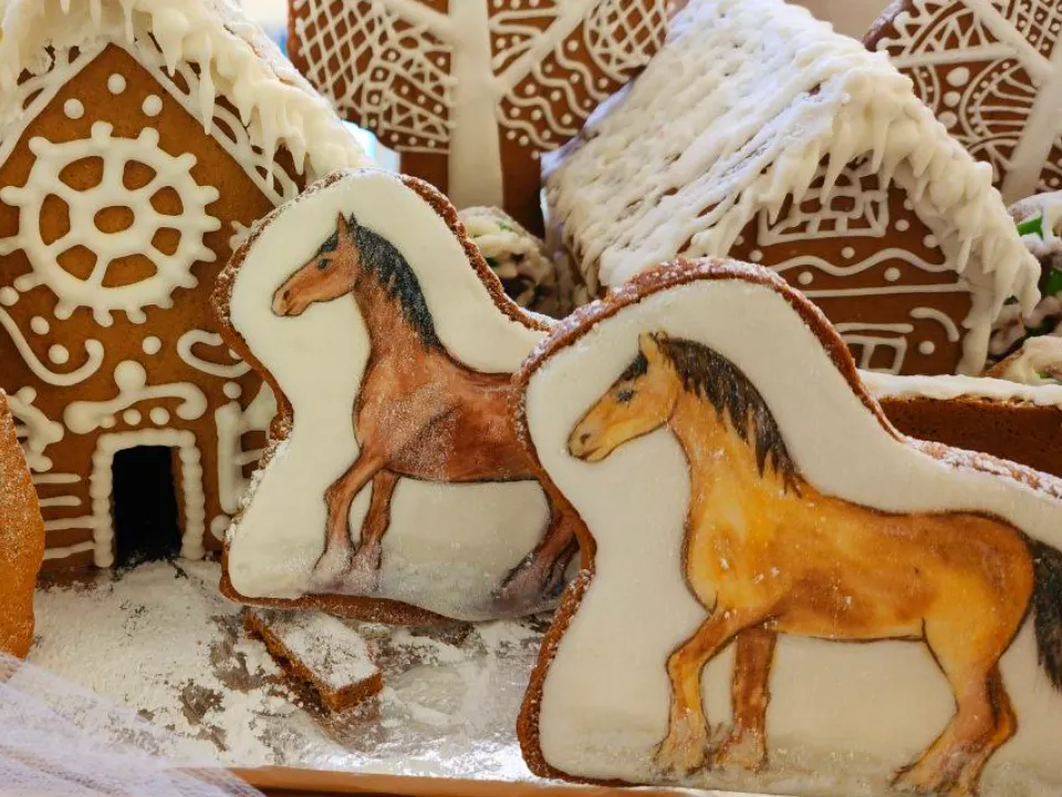 Фото: МедиаБанк Подмосковья/Евгений Рой