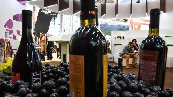 Эксперт: глобальное потепление не сможет погубить российское виноделие