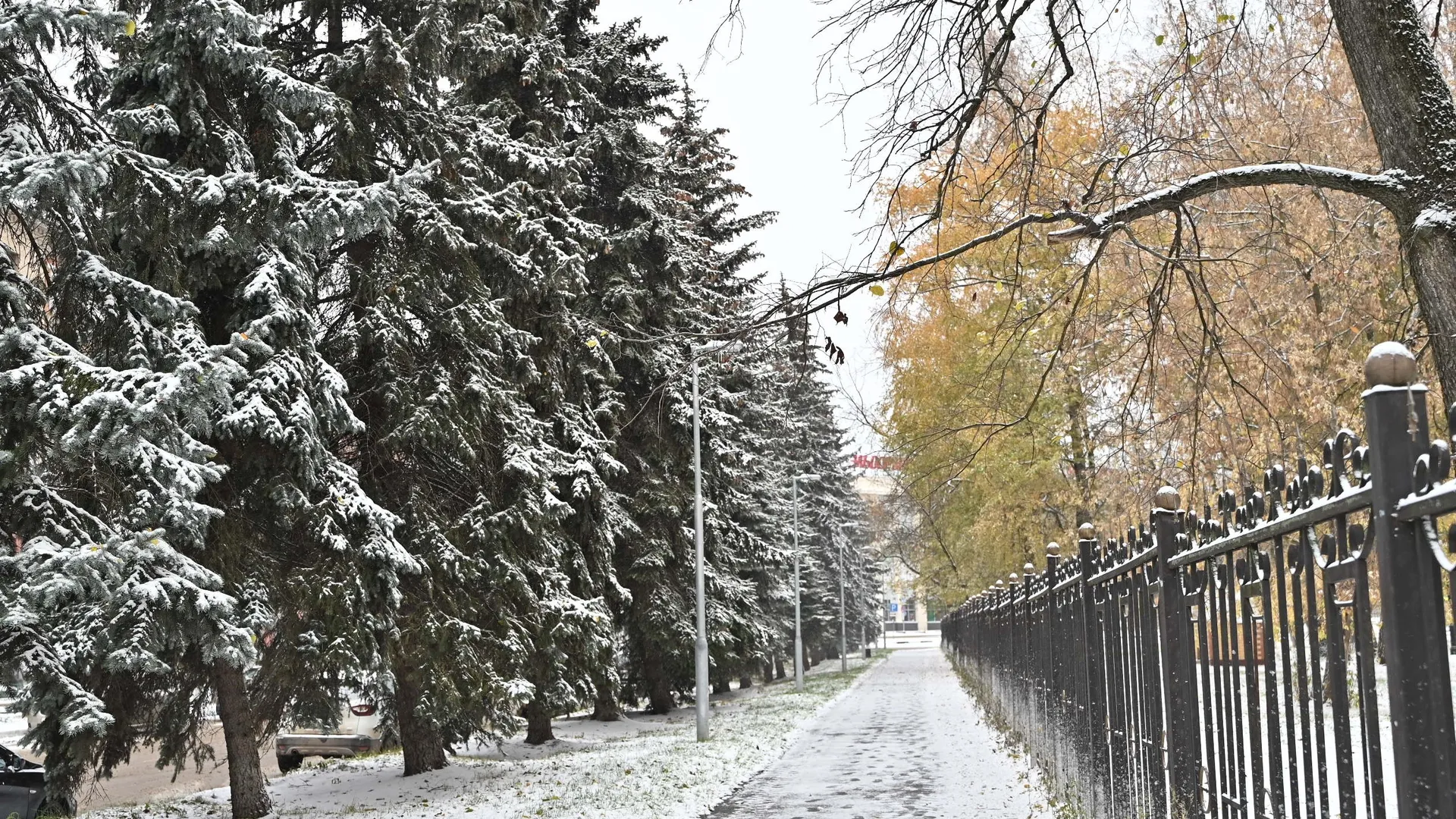 Фото: медиасток.рф