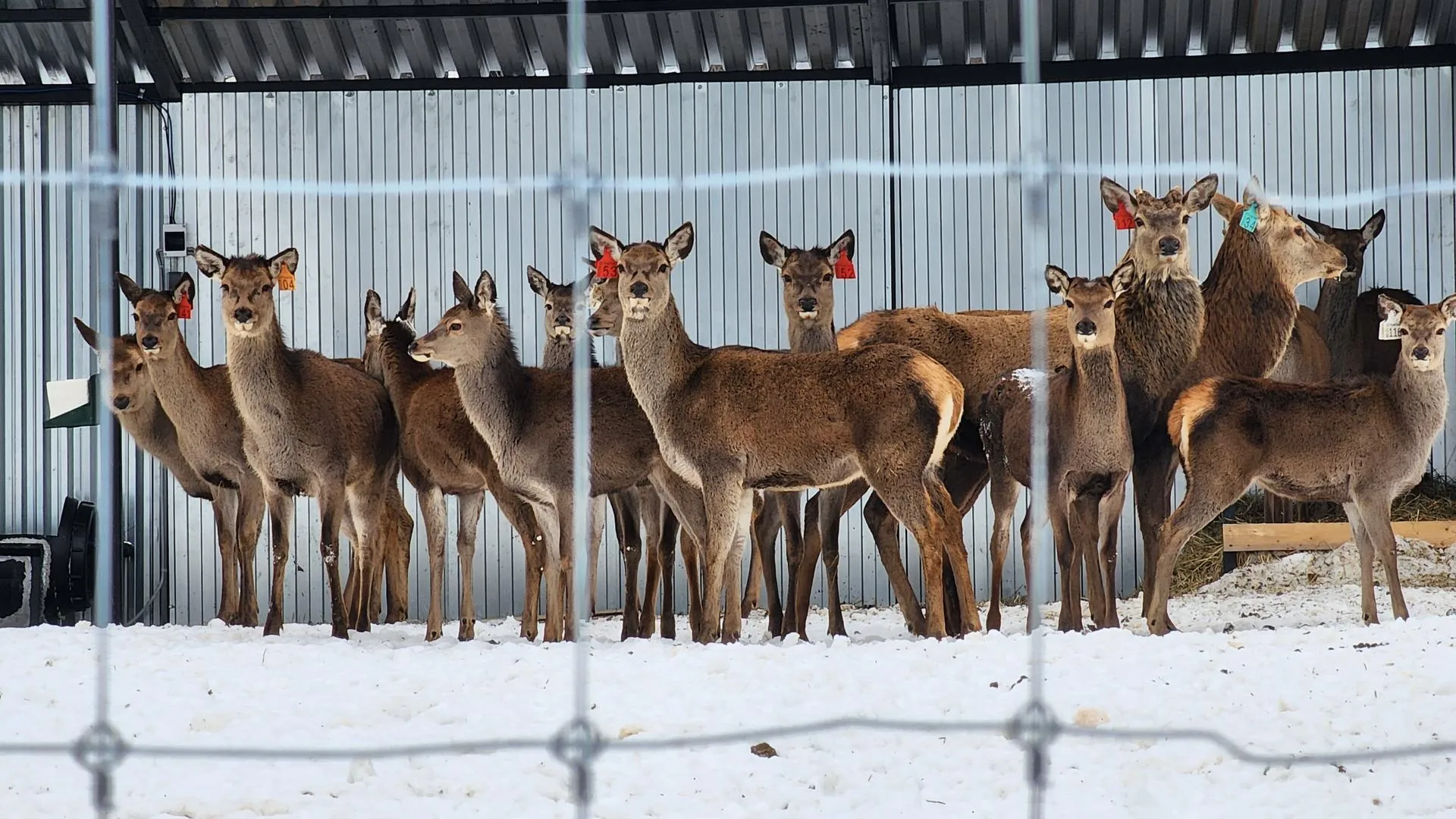 REGIONS/Евгений Рой