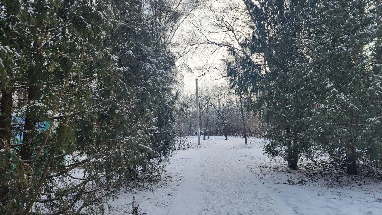 Фото: Мария Панина