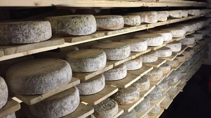 Министерство сельского хозяйства и продовольствия МО
