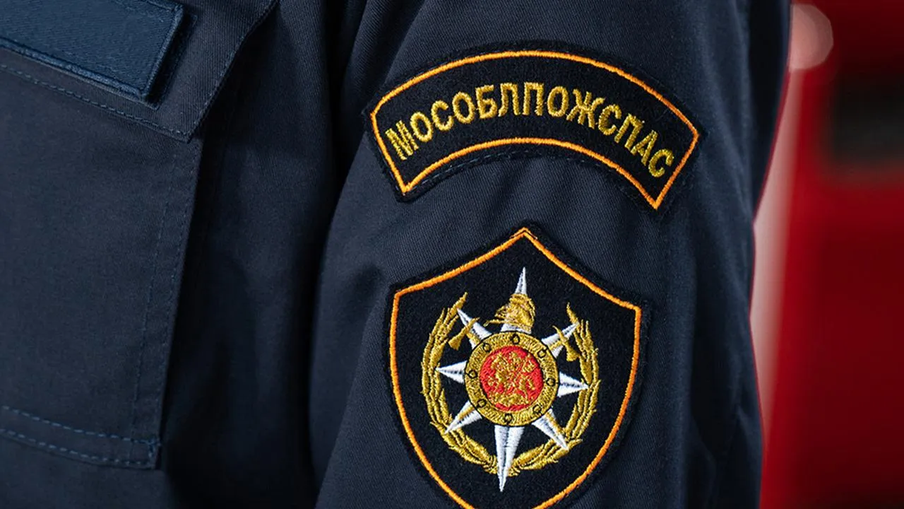 Могут предъявить претензии: выяснилось, кто будет компенсировать вред собаке, упавшей в люк