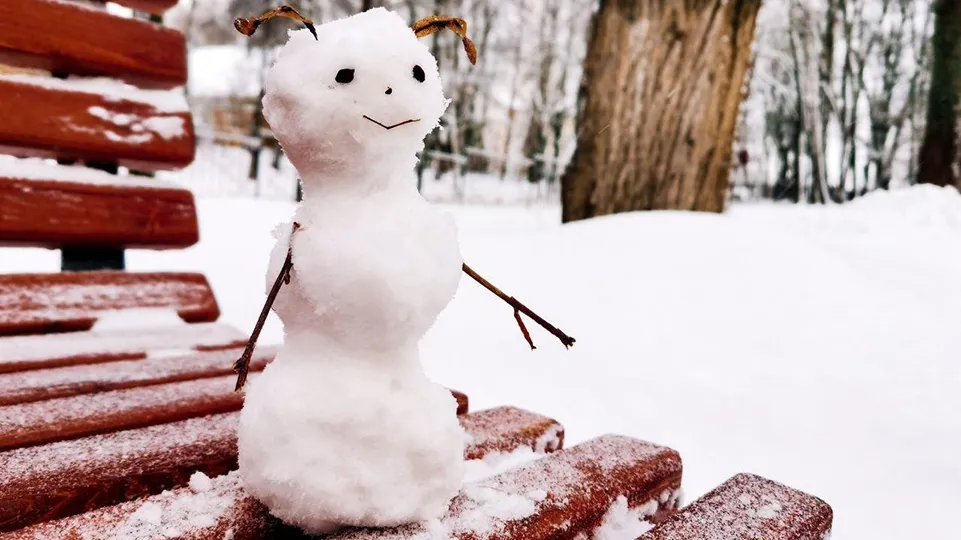 Фото: Комитет по культуре и туризму г.о. Щелково