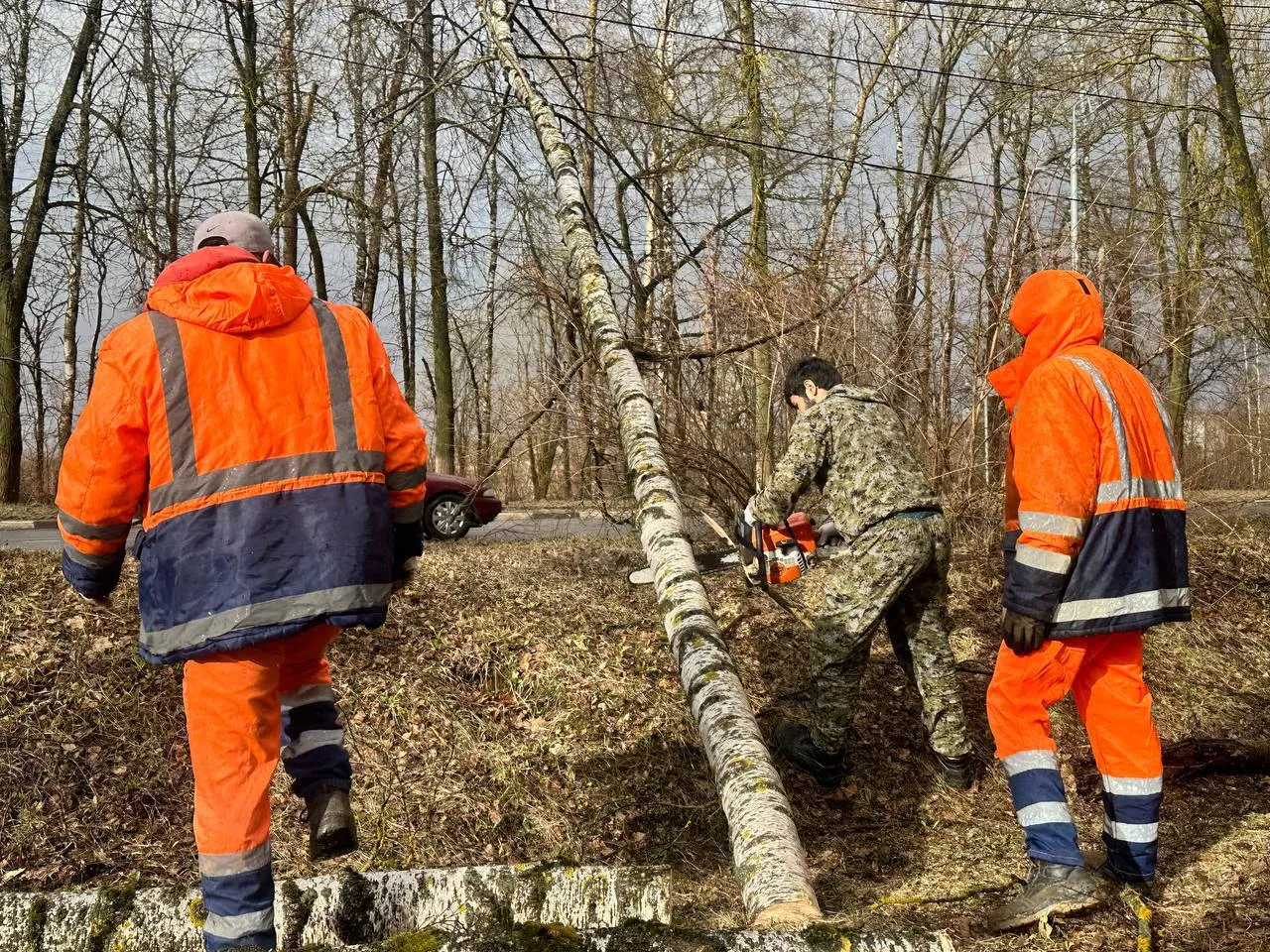 Фото: пресс-служба администрации г.о. Можайск