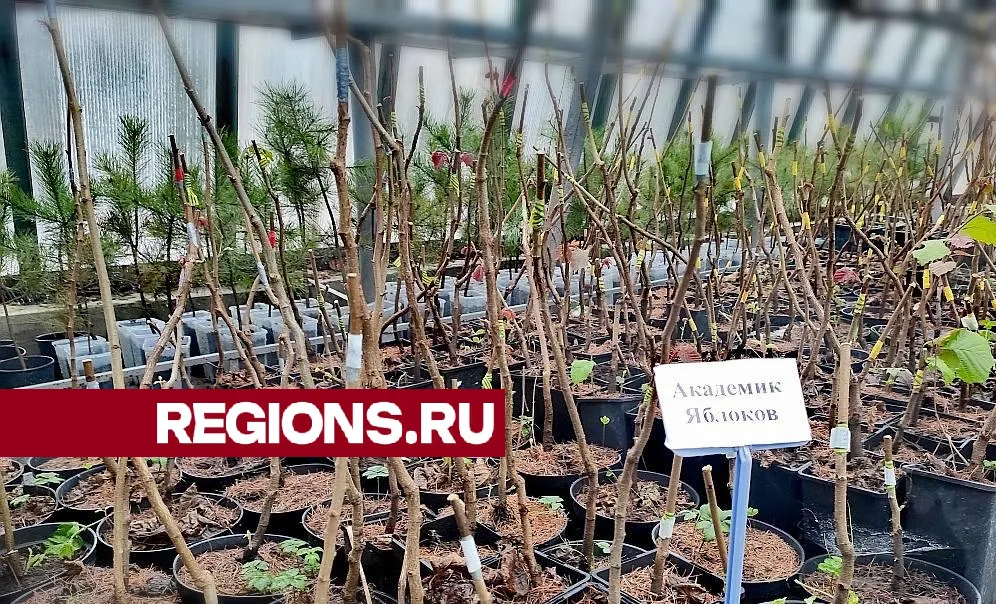 фото: МИО МО