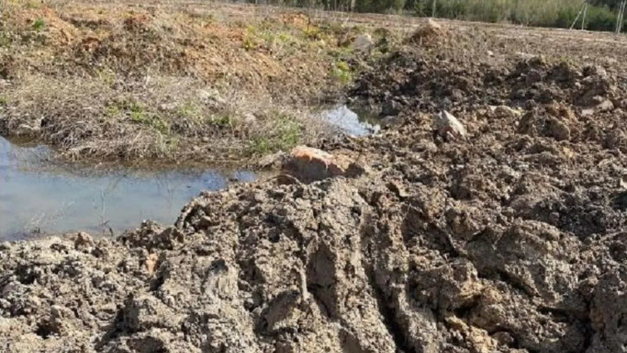 Житель Люберец организовал незаконную свалку в водоохранной зоне реки Чернавки