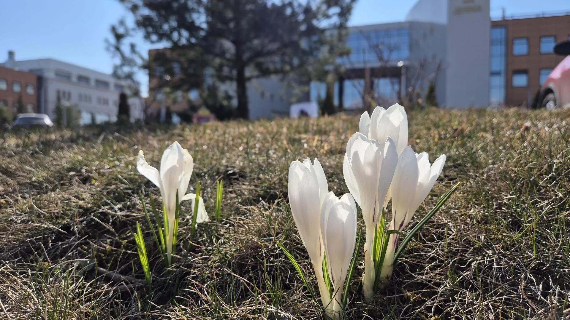 REGIONS/Ольга Панина