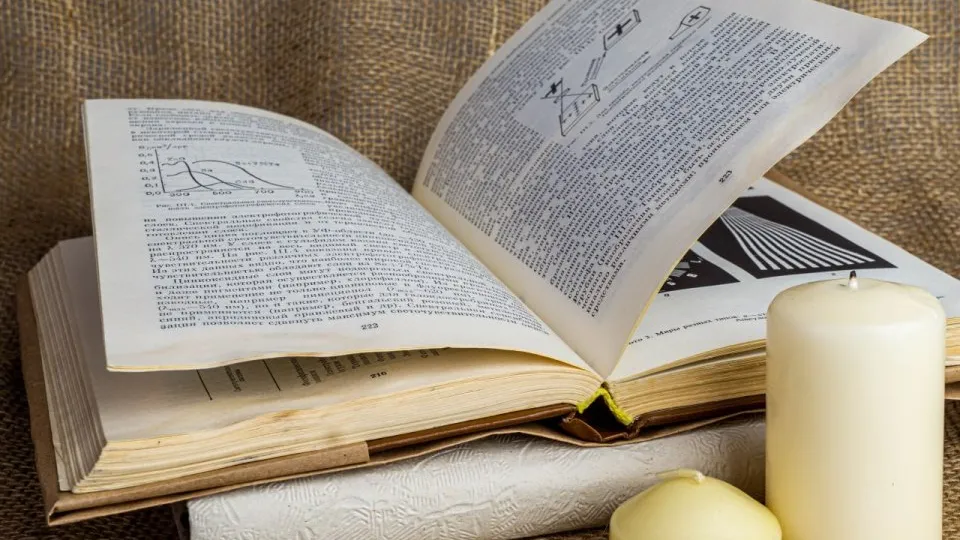 Фото: REGIONS/Дарина Левкина