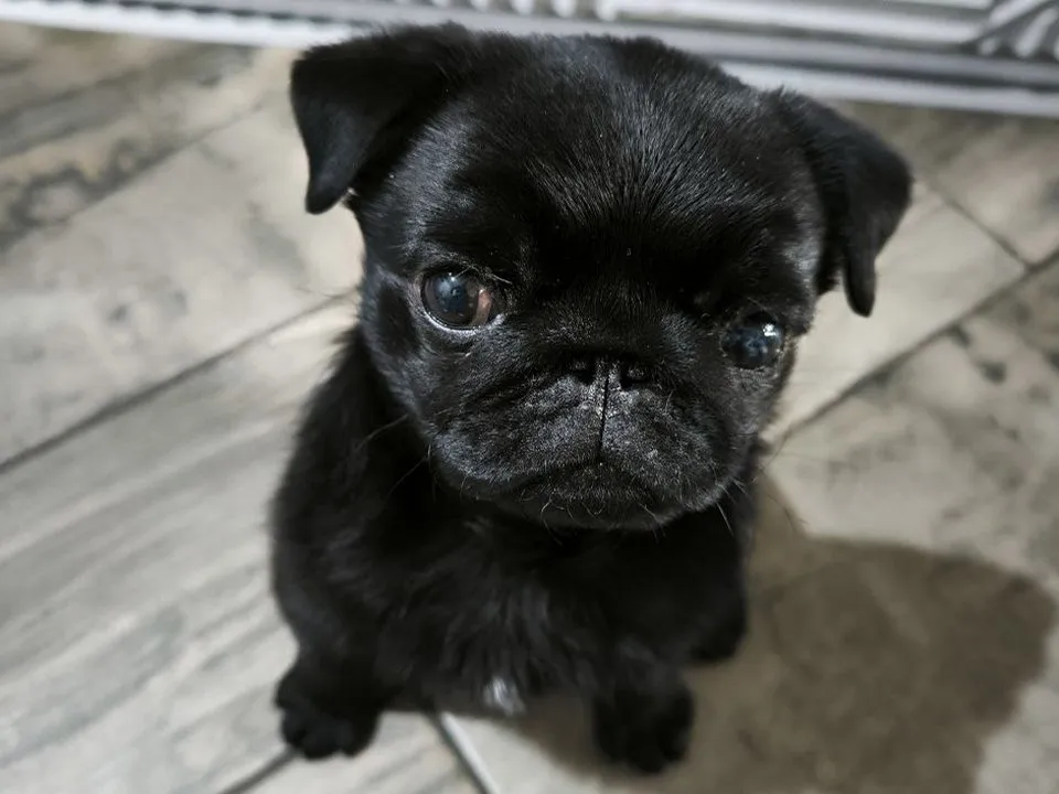 Фото: REGIONS/Роман Малышенко