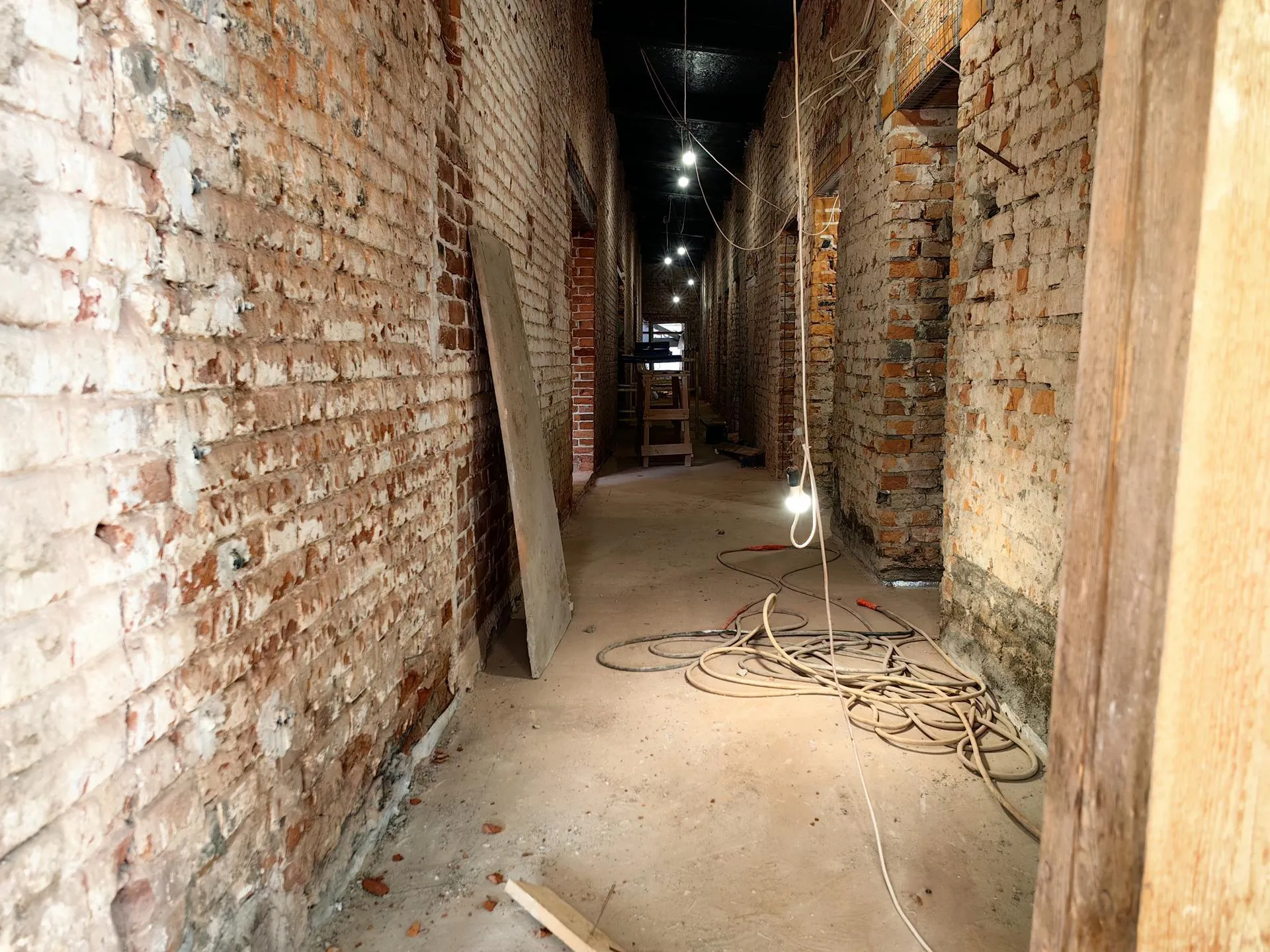 Елена Катасонова