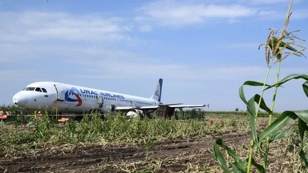 Уже 88 пассажиров самолета, севшего в кукурузном поле в Подмосковье, получили компенсации