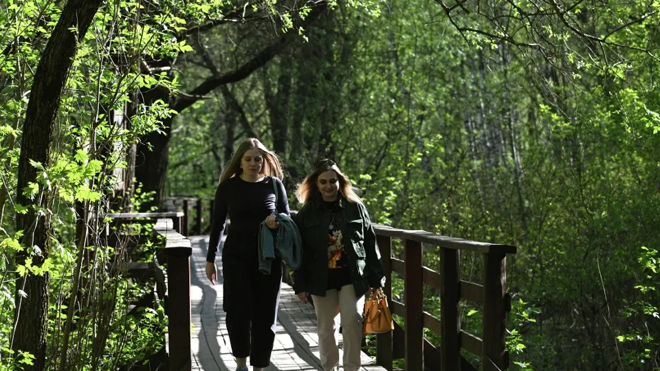 Фото: РИА Новости/Кирилл Зыков