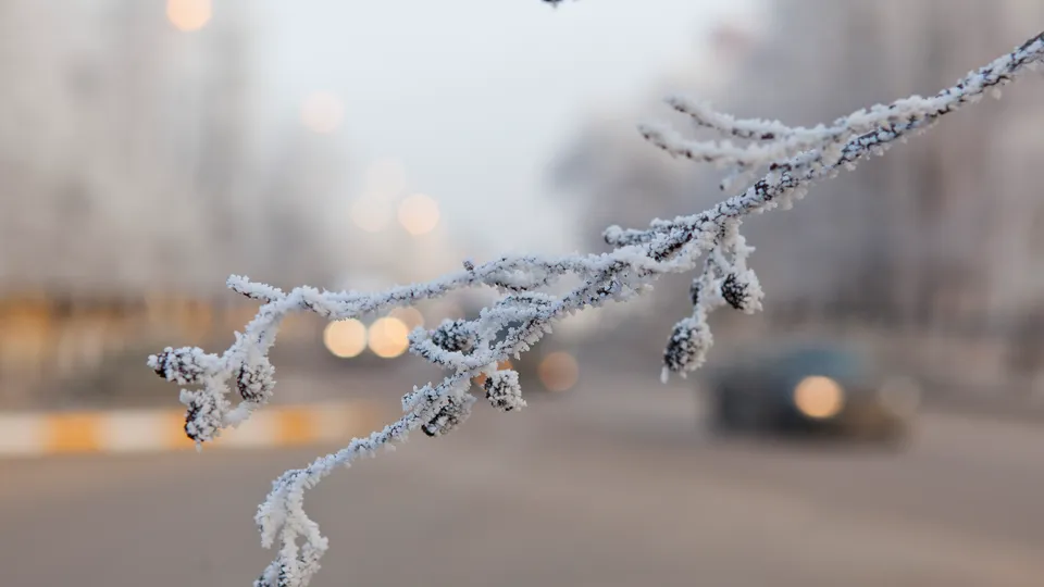 Фото: медиасток.рф